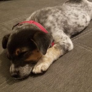 Meet your Posher, Ann